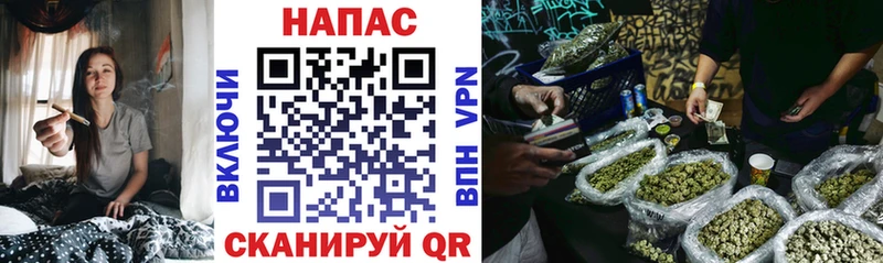 Каннабис сатива Байкальск